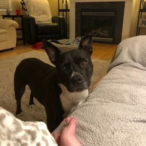 Meet your Posher, Robbi